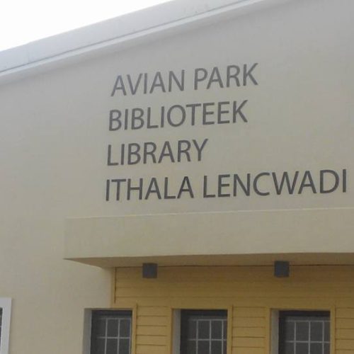 Library outing 1