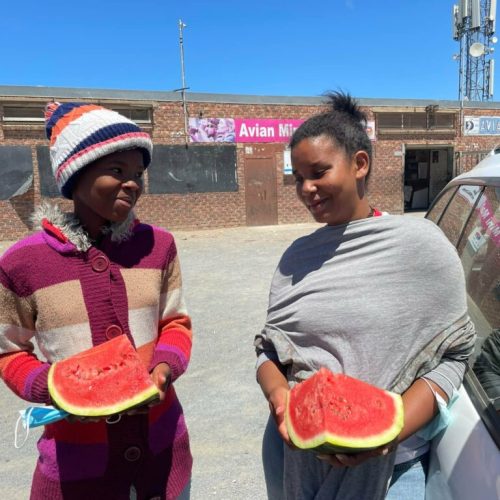 Watermelon-Day3-768x1024